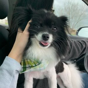 Hi Friends!! 🚨PSA🚨